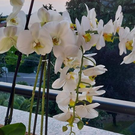מונפלקונה Alloggio Orchidea מראה חיצוני תמונה