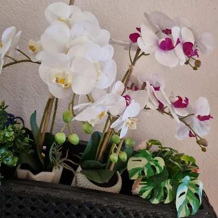מונפלקונה Alloggio Orchidea מראה חיצוני תמונה